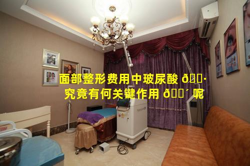 面部整形费用中玻尿酸 🌷 究竟有何关键作用 🐴 呢